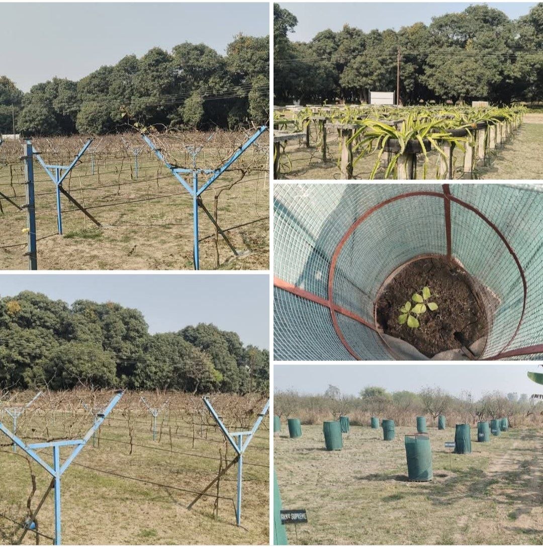 Agriculture Gallery Image 4